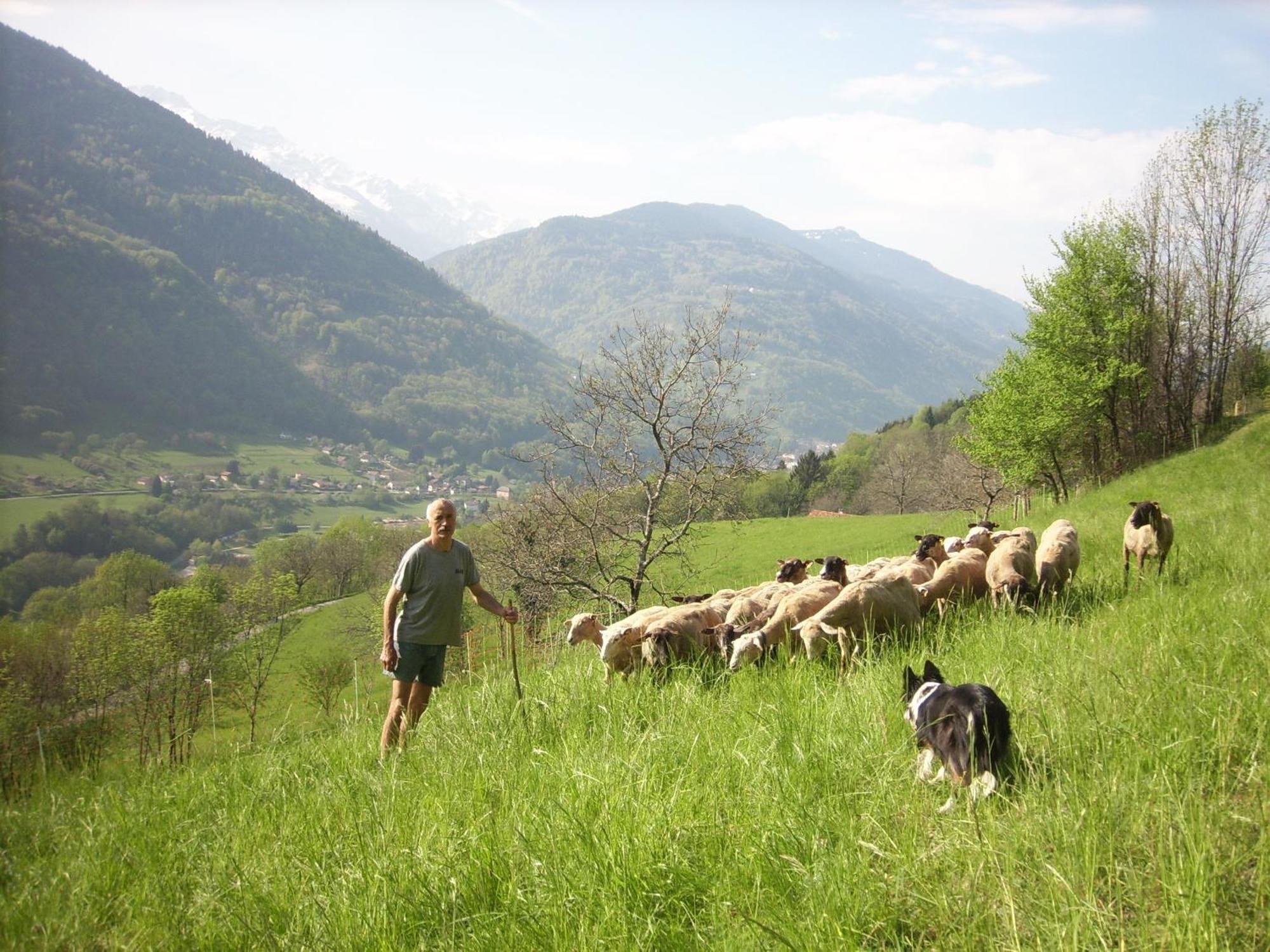 Ferme Auberge Du Bessard Allevard Dış mekan fotoğraf